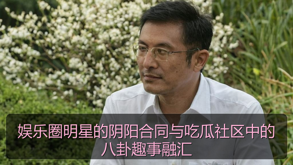 娱乐圈明星的阴阳合同与吃瓜社区中的八卦趣事融汇