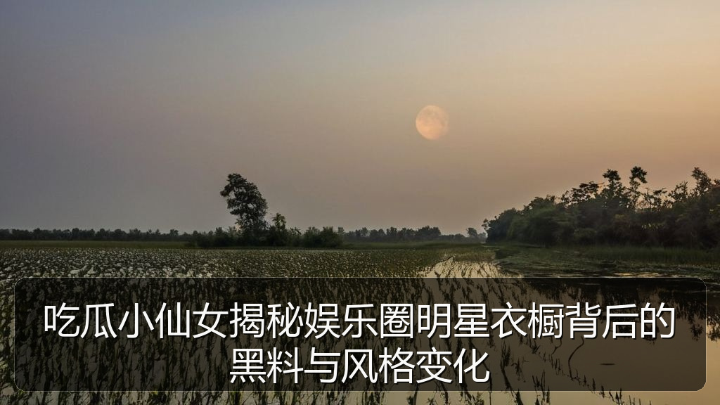 吃瓜小仙女揭秘娱乐圈明星衣橱背后的黑料与风格变化