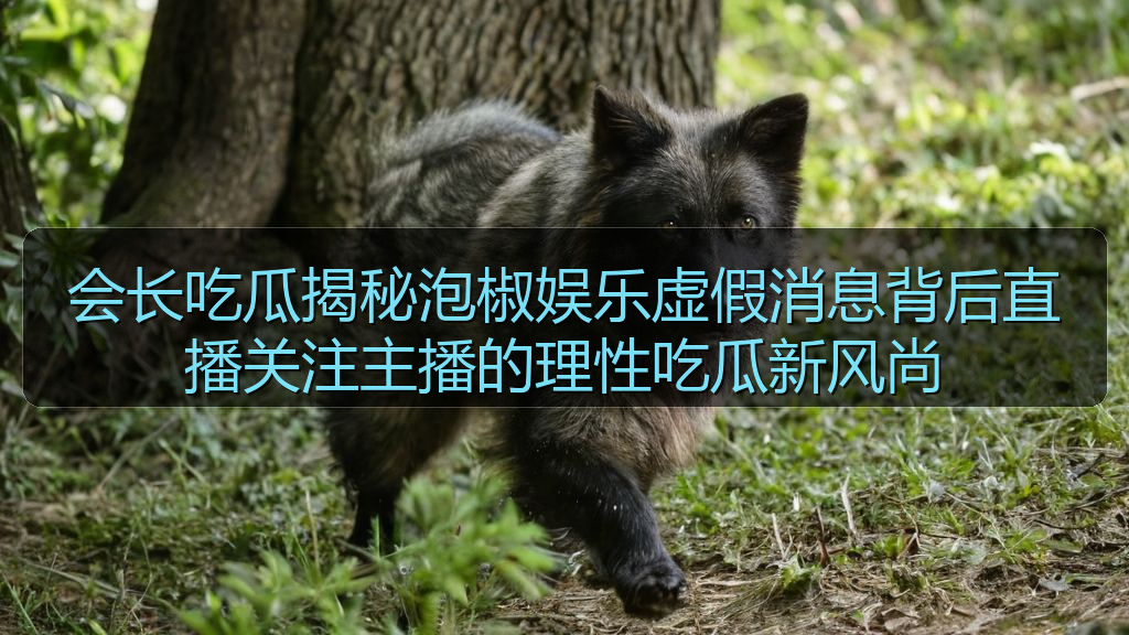 会长吃瓜揭秘泡椒娱乐虚假消息背后直播关注主播的理性吃瓜新风尚